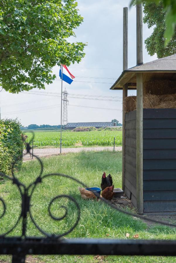 Oud *