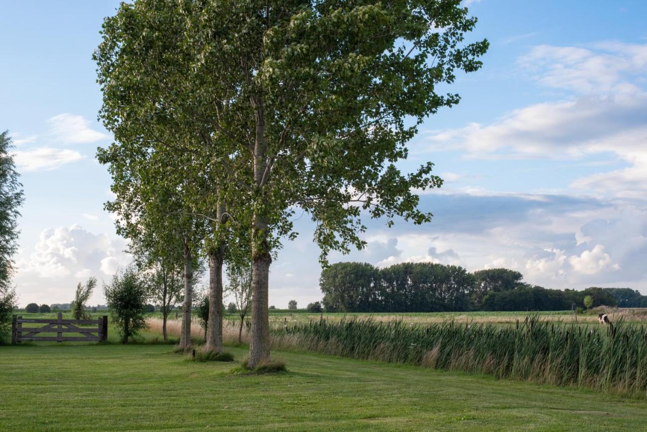 Oud * Drimmelen